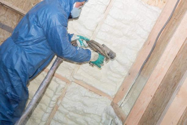 Best Basement Insulation  in Almedia, PA